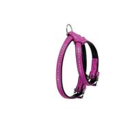 Flamingo ALP Monte Carlo arnés para Perro Rosa 21 - 27 cm 11 mm