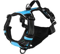 Flamingo ARNES BALOU Azul M 50-65CM 25MM