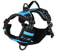 Flamingo ARNES BALOU Azul S 40-55CM 20MM