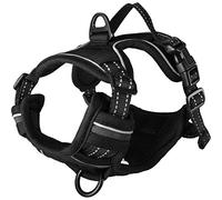 Flamingo ARNES BALOU Negro XS 30-45CM 15MM