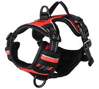 Flamingo ARNES BALOU Rojo S 40-55CM 20MM