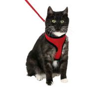 Flamingo Arnés con Correa Harms Rojo y Negro para gatitos
