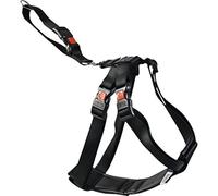 FLAMINGO Arnés de Seguridad para el Coche Talla L 50-70 cm Color Negro 1032111