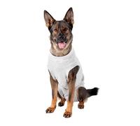 Flamingo Body Gris para perros