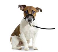 Flamingo Collar Easy Leader Negro M 42-55CM 15MM