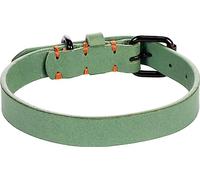Flamingo Collar LEANO Negro Verde S/M 31-39CM 20MM