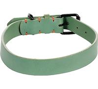 Flamingo Collar LEANO Negro Verde XL 47-57CM 30MM