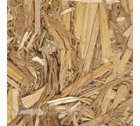 FLAMINGO Gorila, Juguete de Perro con sonajero - 33 x 15 x 8,5 cm