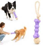 Flamingo Juguetes para Perros - Cuerda para Tirar Joanie con Hueso de Goma y Nudo Morado/Amarillo - Poliéster y TPR - para Tirar y morder - 37,5 x 6,5 x 6,5 cm