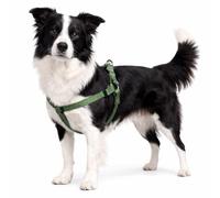 Flamingo Perro Arnés Step&Go Ziggi Caqui L 40-70cm 40-70cm 25mm