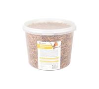 Flamingo Semillas para Pájaros - Gusanos de la harina Secos 540g comedero pájaros Exterior