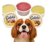 Flamingo Snack para Perros - Gelato Helado con sabor a Piña, Plátano y Frambuesa - 40g - nutritivo y refrescante - fácil de preparar