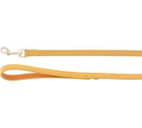 Flamingo Virginia - Correa para Perro (130 cm, 15 mm, Acabado Mate Dorado, con Anillo para acesorias