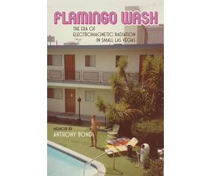 Flamingo Wash: The Era of Electromagnetic Radiation in Small Las Vegas