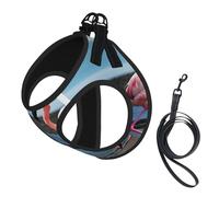 Flamingos on the Beach - Juego de arnés y correa para perro, chaleco reflectante ajustable para cachorros para perros pequeños, medianos y grandes y gatos