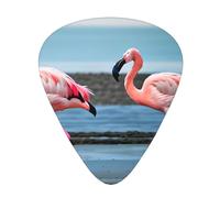 Flamingos On The Beach - Púa de guitarra excepcional - Impresión completa de un solo lado, púa de material ABS - Diversos grosores para una experiencia musical variada - Ideal para guitarras y