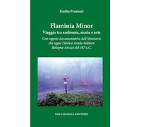 Flaminia Minor. Viaggio tra ambiente, storia e arte. Con regesto documentativo dell’itinerario che segue l’antica strada militare Bologna-Arezzo del 187 a.C.