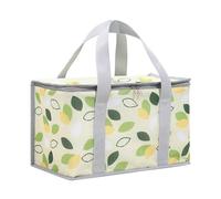 Flaroey Bolsa de Picnic con Aislamiento Reutilizable, Bolsa de Playa con Bolsa Aislante con Cremallera para Cesta de Picnic