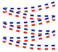 Flaros de la Francia Pequeas Mini Banner Banner Flags Miniatura Flaros de Francia Banners para la gran inauguracin Festival de las Olmpicas Grande