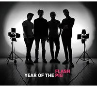 Flash Pig - Year of the Pig