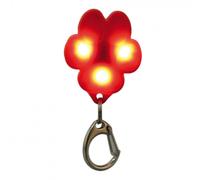 Flash USB en forma de flor para perros - Mediciones: 3,5 x 4,3 cm