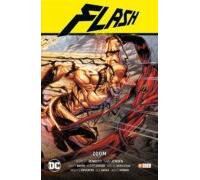 Flash vol. 6: Zoom (Flash Saga - Nuevo Universo parte 6)