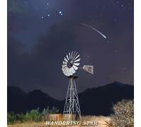 Flatland Cavalry Wandering Star (CD) (Importación USA)