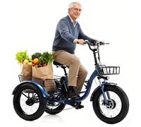 flatpincololee Triciclo Eléctrico Adulto 20"x4.0" Todo Terreno - Motor 500W, Batería Extraíble 48V 13Ah, Amortiguador, Luz LED, Gran Cesta de Carga, E-Bike de Tres Ruedas Blue