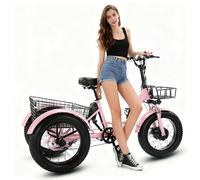 flatpincololee Triciclo Eléctrico Adulto 20"x4.0" Todo Terreno - Motor 500W, Batería Extraíble 48V 13Ah, Amortiguador, Luz LED, Gran Cesta de Carga, E-Bike de Tres Ruedas Pink