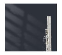 Flauta adultos Flauta Instrumento C Llave 16 Agujeros Niquelado Plateado Flauta Principiante Orquesta De Actuación(Silver)