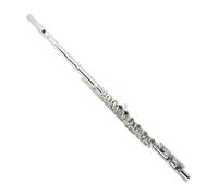Flauta adultos Instrumento De Flauta Tecla C 16 Tecla E De Orificio Cerrado Tecla Tipo Canción Dividida Interpretación Para Principiantes(Nickel-plated)