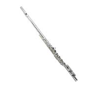Flauta adultos Instrumento De Flauta Tecla C 16 Tecla E De Orificio Cerrado Tecla Tipo Canción Dividida Interpretación Para Principiantes(Silver-plated)