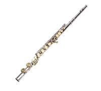 Flauta C de Orificio Cerrado con Caja de Transporte de Tela de Limpieza, Boquilla de Flautas, Tela de Limpieza, Varilla de Ajuste, etc., 16 Teclas G Diseño de