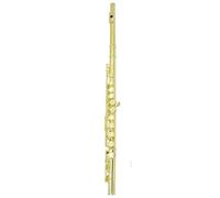 Flauta De Agujero Cerrado Flauta 16 Agujeros Cerrados Flauta Con Llave C Flauta De Concierto Instrumentos De Viento De Madera Flauta Transversal Con Tecla E(Gold)