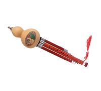 Flauta de calabaza china Hulusi principiante adulto doble tono instrumentos musicales tradicionales C Key/B Flat Hulusi con estuche profesional(C Key)