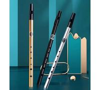 Flauta de estaño afinada con seis agujeros, imprescindible para cualquier persona apasionada por crear sonidos auténticos en el mundo de la música popular (B)