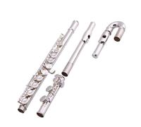 flauta de estudiante Cabezas Curvas Divididas 16 Teclas Agujero Cerrado C Tune Níquel Plata Con Estuche