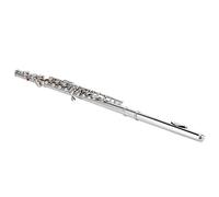 Flauta de Plata Esterlina, Alta Velocidad, para Principiantes, Niños, Instrumentos Musicales, para Grupos Escolares, Aprendizaje Musical