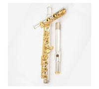 Flauta Flauta C Tono 17 Cuerpo plateado con orificio abierto Teclas chapadas en oro Exquisitos instrumentos a juego en oro y plata