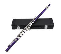 Flauta horizontal profesional con bolsa de paño de limpieza, palo de 16 agujeros, tono C, cerrado para instrumentos de banda escolar con E