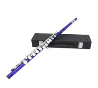 Flauta horizontal profesional con paño de limpieza de bolsa, palo de 16 agujeros, tono C, agujero cerrado para instrumentos de banda escolar, horizontal profesional con bolsa de paño de limpieza