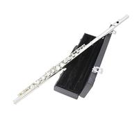 flauta Instrumento De Flauta, Llave C Chapada En Plata, 16 Orificios Cerrados, Nivel Básico, Rendimiento Profesional Para Principiantes (Color : 16 closed hole nickel plated 2 entry level)