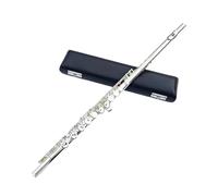 flauta Instrumento Musical 16 Agujeros Cerrado C Llave Flauta Plateada Transversal Instrumentos Musicales Caso