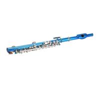 Flauta Piccolo, Sonido Crystalino, Flauta del Principiante, Construcción Robusta, 6 Hoyos, para principiantes, niños, estudiantes, músicos amateurs, y profesores