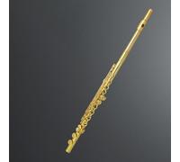 Flauta Transversal Flauta Dorada De 16 Orificios Cerrados Y 17 Orificios Abiertos Llaves Curvas + Llave E Flauta Dividida Llave C Nivel Profesional Para Principiantes Prueba De Rendimiento(16 Hole)
