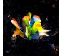 FLAVIEN BERGER - CONTREBAND 02: LE DISQUE DE L'T