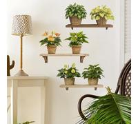 Flaxarne Calcomanías de pared para estante de plantas en maceta, calcomanías de pared con estantes de madera para dormitorio, sala de estar, cocina, arte botánico rústico extraíble para decoración del