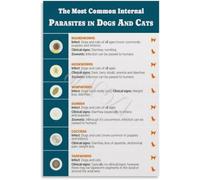 Flea Tick Poster Worm Infestation Prevention Guide