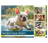 Fledermaus Alarm. Französiche Bulldoggen in der Natur (Wandkalender 2026 DIN A3 quer), CALVENDO Monatskalender: Wanderlustige Frenchies erobern mit Charme und Pfotenpower die Bergwelt
