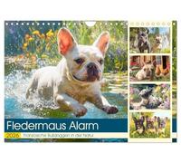 Fledermaus Alarm. Französiche Bulldoggen in der Natur (Wandkalender 2026 DIN A4 quer), CALVENDO Monatskalender: Wanderlustige Frenchies erobern mit Charme und Pfotenpower die Bergwelt